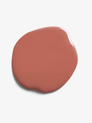 Coral Pink Paint