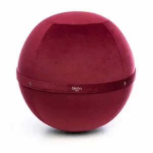 Bloon Velvet Rubin Sitzball